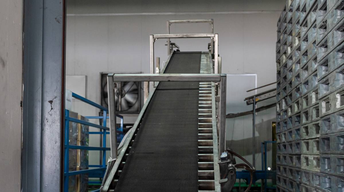 Inclined Modular Belt Conveyor